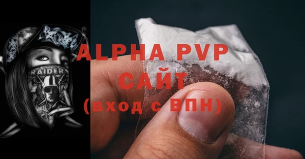 СК Белокуриха
