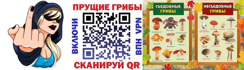 Псилоцибиновые грибы ЛСД  Купить где  Лесосибирск 